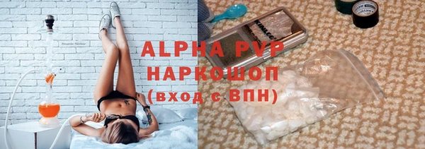 спиды Бородино