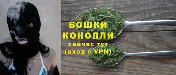 гашик Бронницы