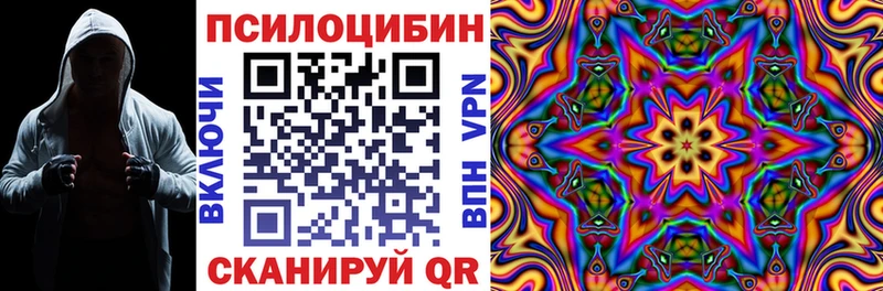 blacksprut маркетплейс  купить наркоту  Озёрск  Галлюциногенные грибы Psilocybe 